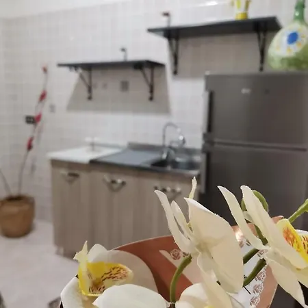 La Rosa Apartamento