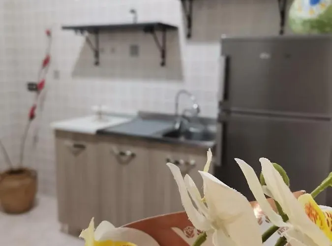 Lt La Rosa Apartamento